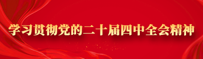 学习贯彻党的二十届四中全会精神